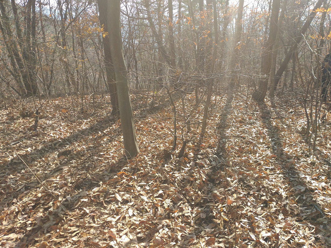 c1b31d5c79248913c17a277412ab8508_1574808968_1584.jpg